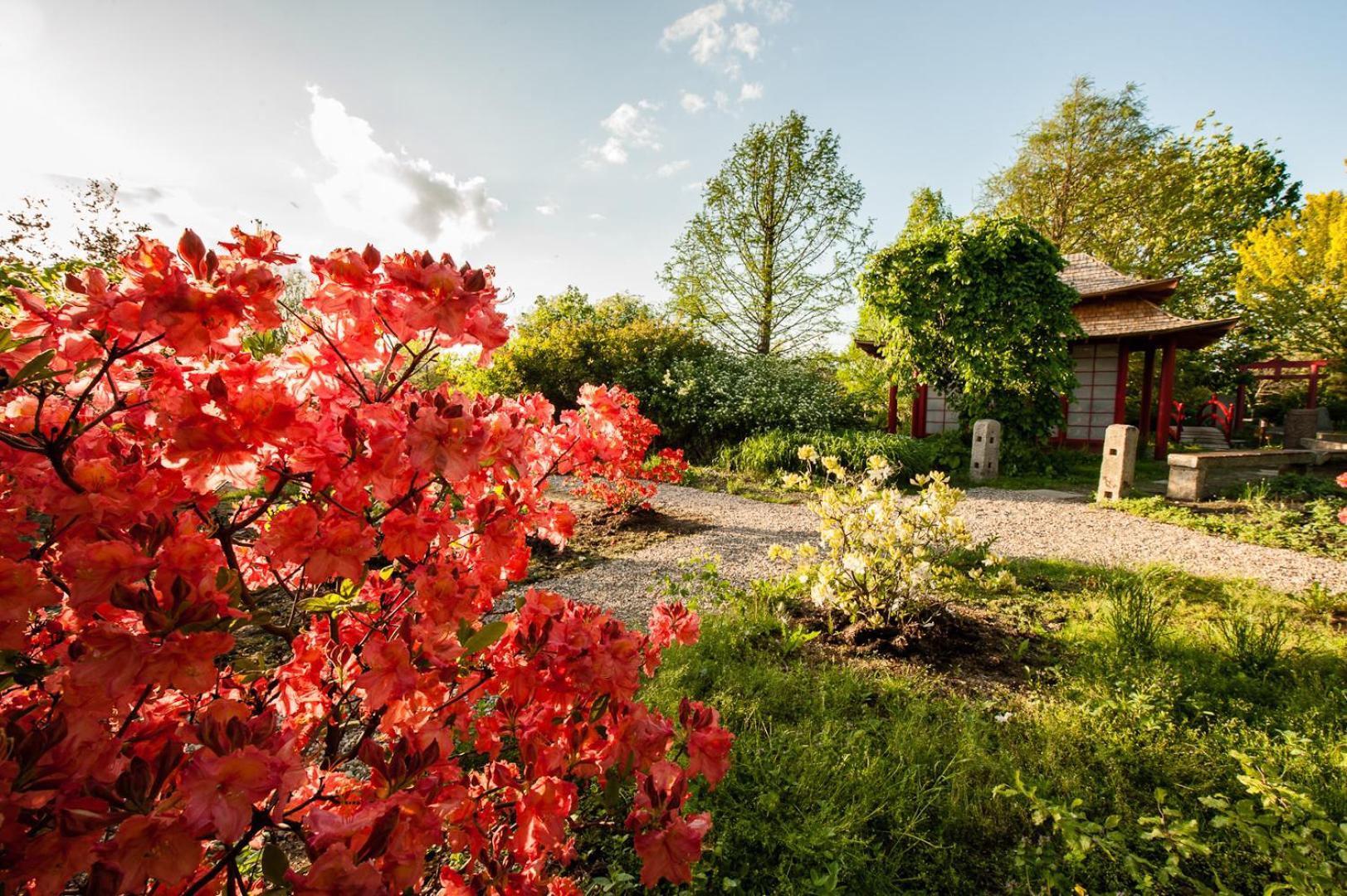 Siedem Drzew Hotel Biskupice  Exterior photo